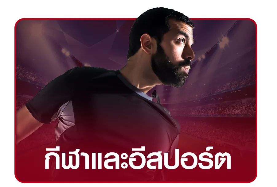 กีฬา -Lionbet